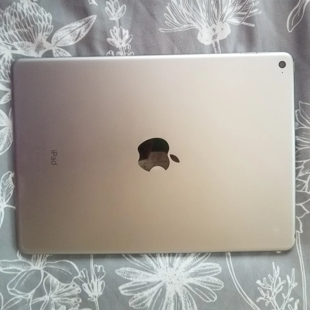 Apple IPad